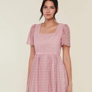 Rachel Parcell Lace Midi Dress with Ruffle